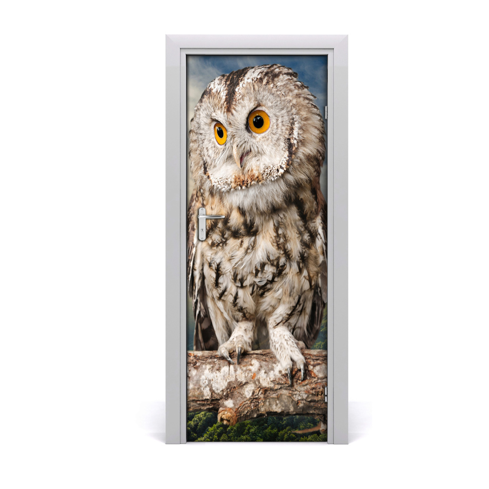 Autocolant pentru uși Bufniță într-un copac