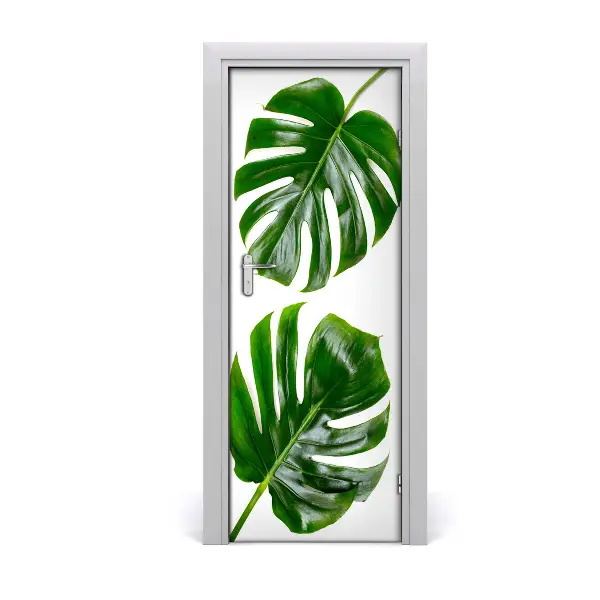 Autocolant de uși Frunze de Monstera