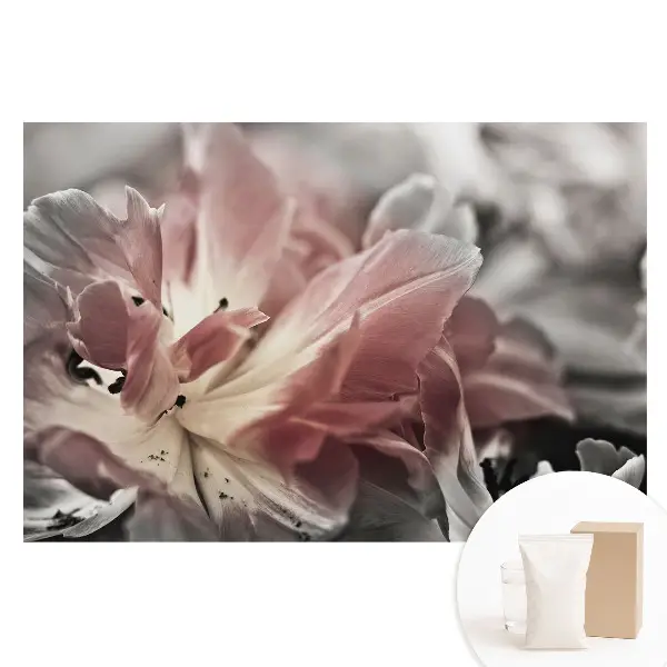 Fototapet din material nețesut cu prim-plan de petale delicate de flori