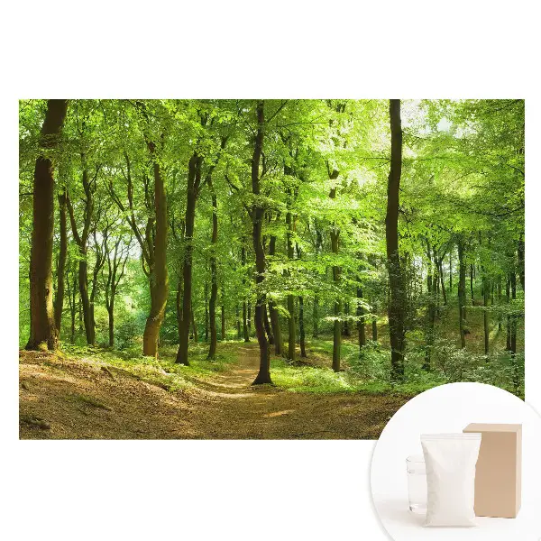 Tapet foto din material nețesut Pădure verde proaspătă
