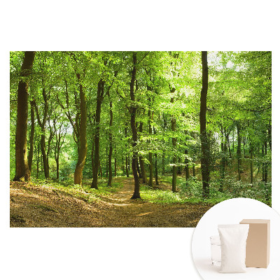 Tapet foto din material nețesut Pădure verde proaspătă