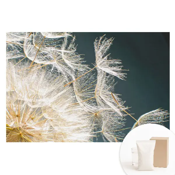 Fototapet din material nețesut cu design reprezentând semințele eterice ale unei păpădii delicate