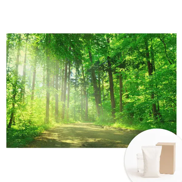 Fototapet din material nețesut cu peisaj pădure verde sub razele soarelui
