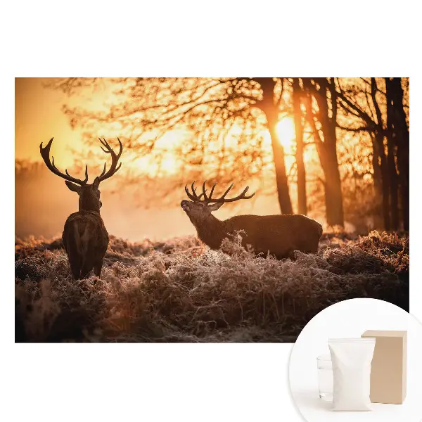 Tapet fotografic din material nețesut cu cerbi de toamnă în lumina răsăritului