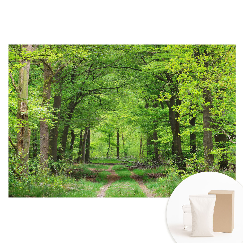 Tapet foto mare pentru perete Peisaj armonios de pădure verde
