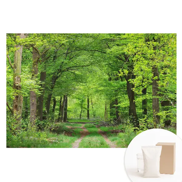 Tapet foto pentru perete Peisaj armonios de pădure verde