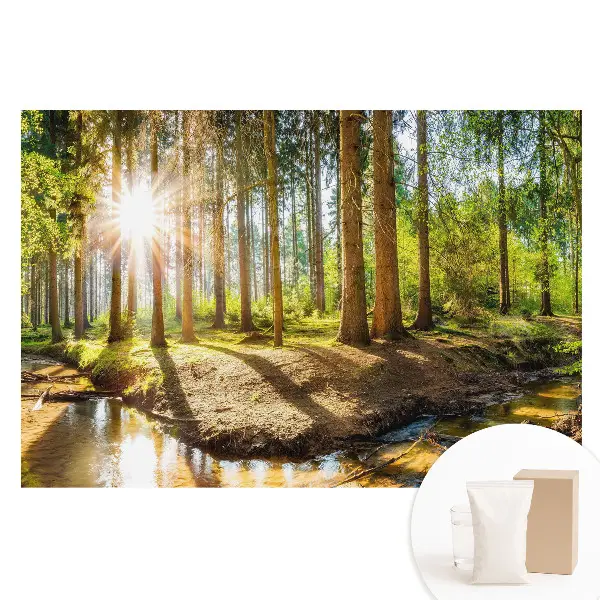 Fototapet din material nețesut cu peisaj forestier și soare radiant