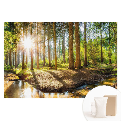 Fototapet din material nețesut cu peisaj forestier și soare radiant