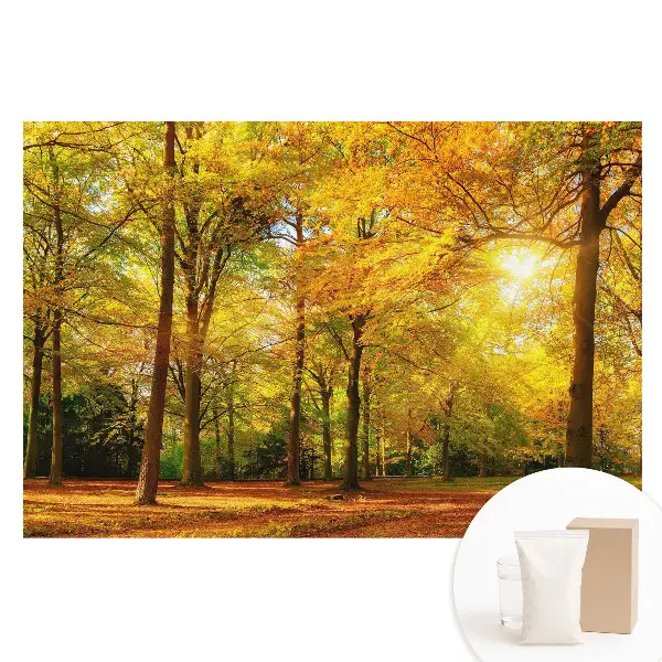 Tapet fotomural pe material nețesut cu panoramă de pădure în nuanțe de toamnă