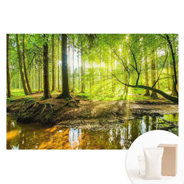 Fototapet din material nețesut cu peisaj de pădure, lumină și pârâu