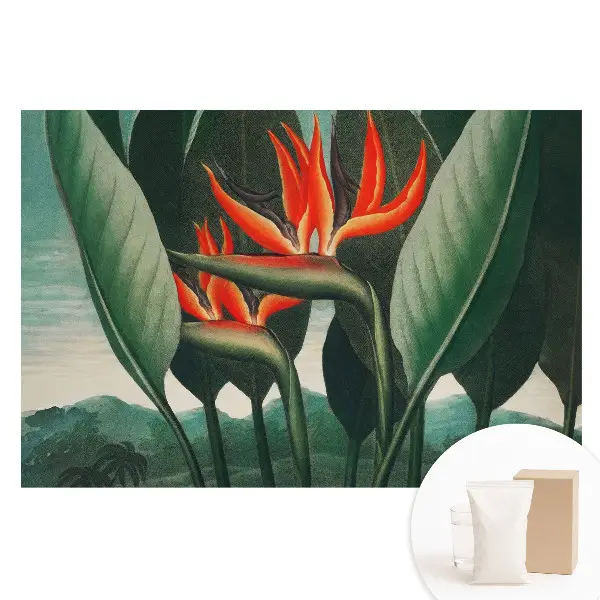 Fototapet din material nețesut cu plante exotice pe fundal verde