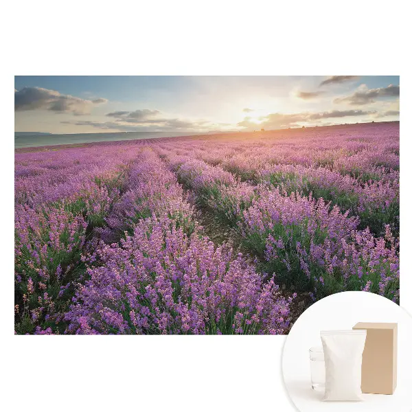 Tapet foto nețesut cu peisaj de apus și lavandă violetă