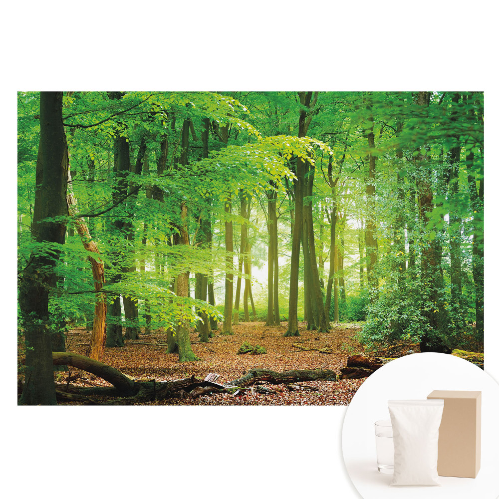 Fototapet cu imprimeu pe material nețesut Peisaj forestier cu raze de soare