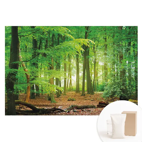 Fototapet din material nețesut cu peisaj forestier și raze de soare