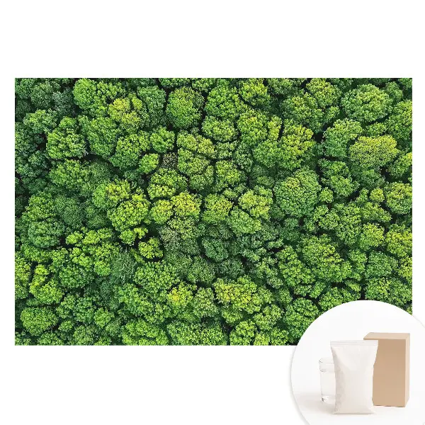 Fototapet mare pentru perete Pădurea verde