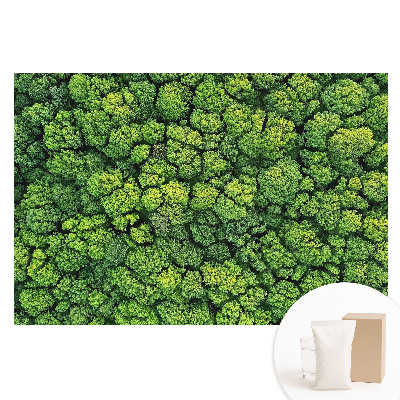 Fototapet mare pentru perete Pădurea verde