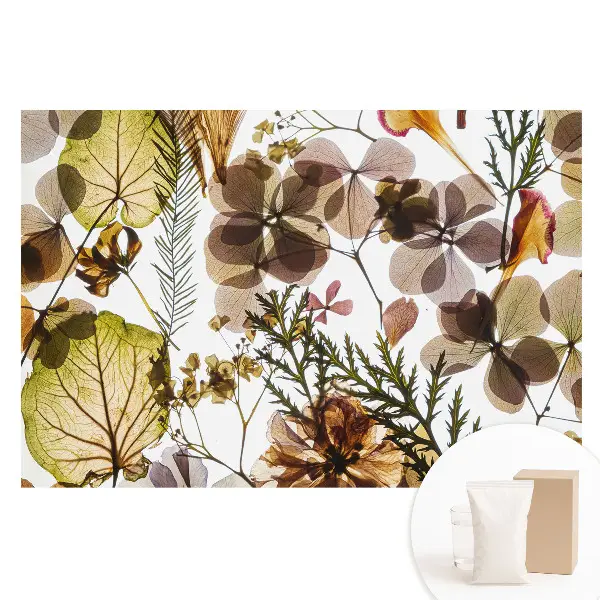 Tapet fotomural din material nețesut cu design de frunze și flori uscate în stil boho