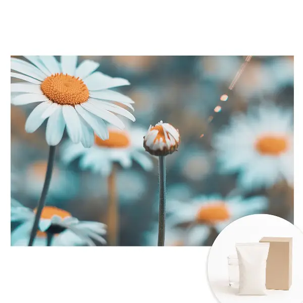 Tapet nețesut cu model floral de mușețel