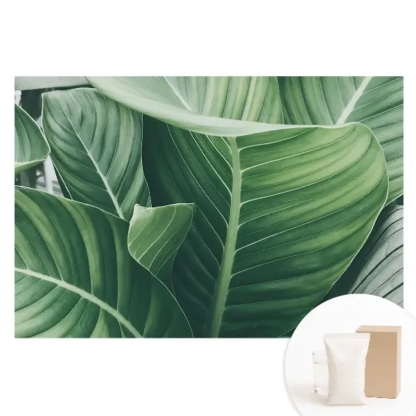 Tapet nețesut cu model de frunze verzi pentru un decor natural și modern