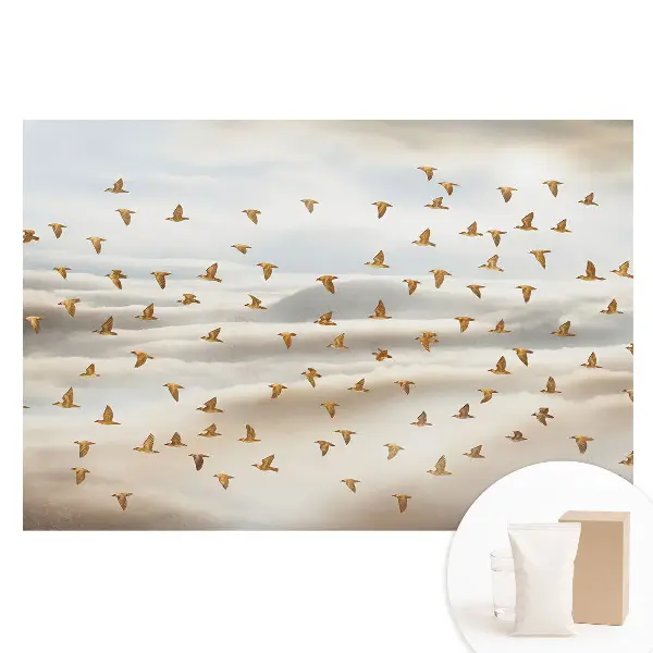 Tapet foto din material nețesut cu păsări zburând printre nori