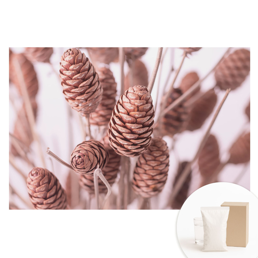 Tapet fotografic din material nețesut cu conuri de pin în stil rustic