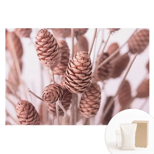 Tapet fotografic din material nețesut cu conuri de pin în stil rustic