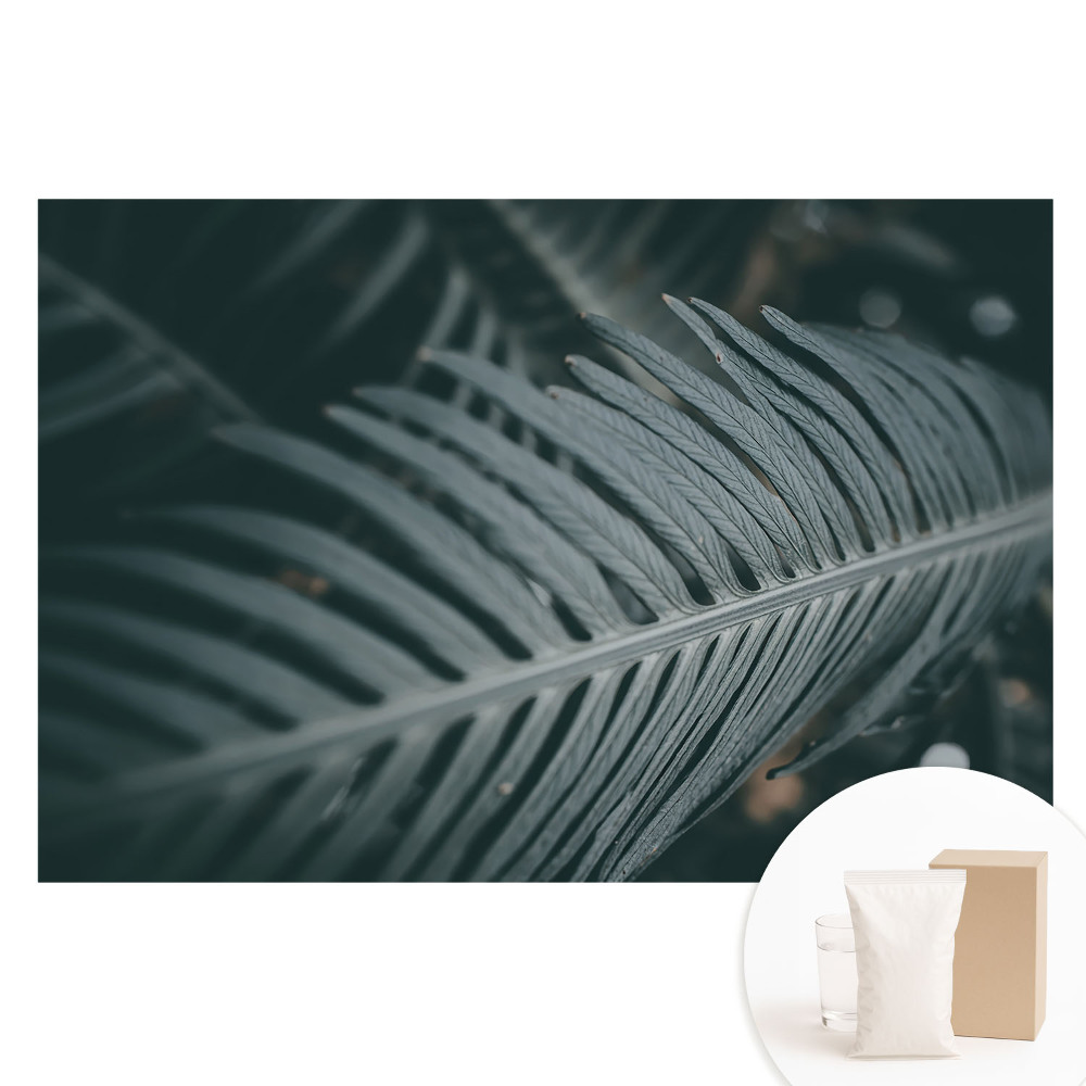 Tapet fotomural pe material nețesut cu design de frunze elegante