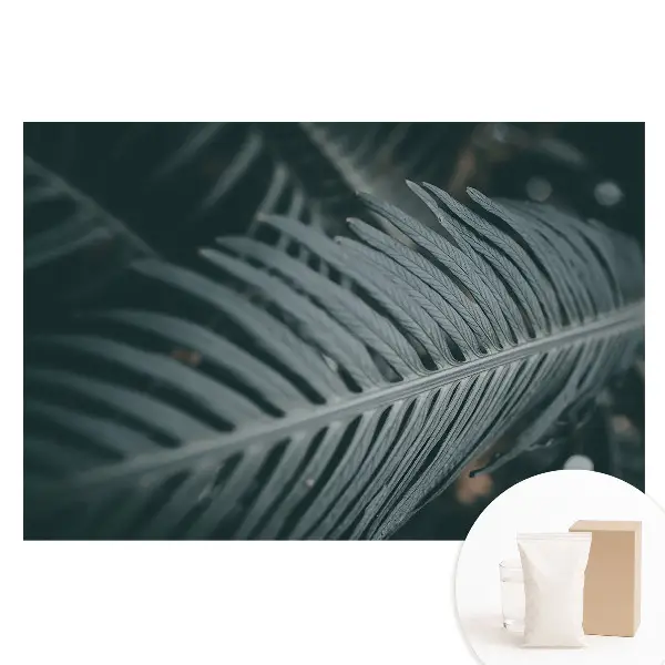 Tapet fotomural pe material nețesut cu design de frunze elegante