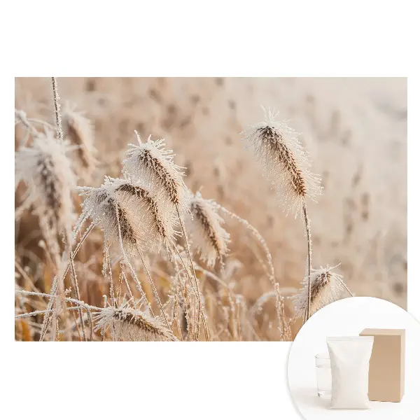 Tapet nețesut cu model de îngheț pe iarbă și natură de iarnă