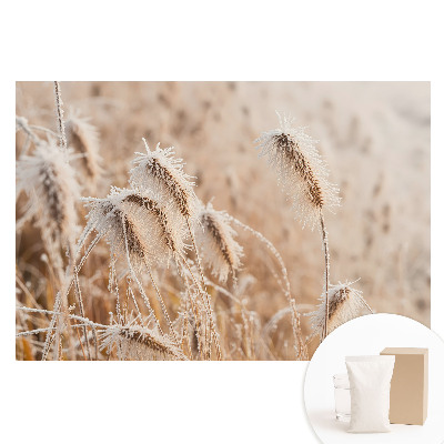 Tapet nețesut cu model de îngheț pe iarbă și natură de iarnă