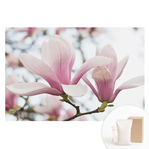 Tapet nețesut cu imprimeu cu magnolii roz în stil romantic