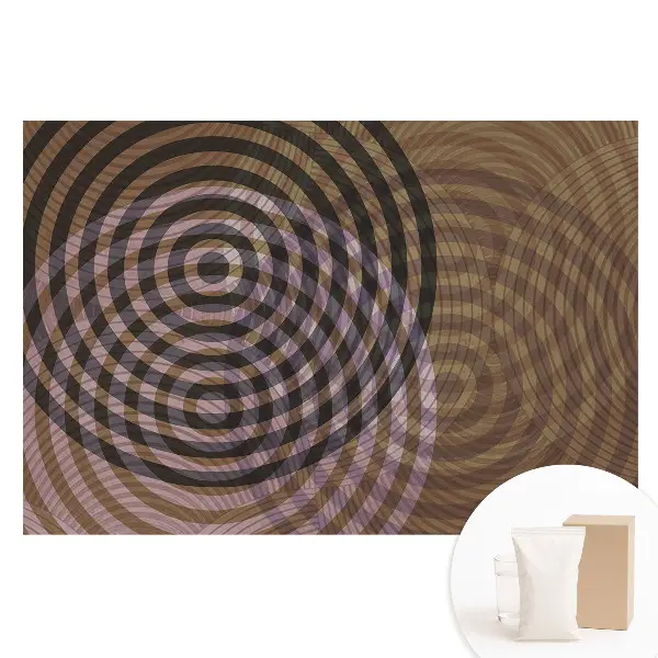 Fototapet din material nețesut cu model de cercuri concentrice retro modern