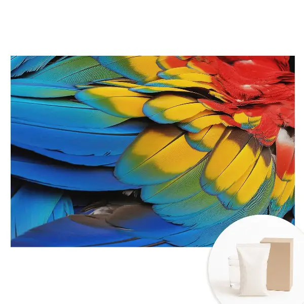 Tapet foto pe material nețesut cu model mozaic de pene colorate
