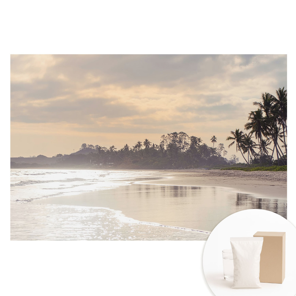 Tapet fotografic nețesut O plajă liniștită cu palmieri