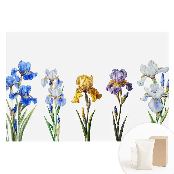 Fototapet din material nețesut cu flori de iris colorate pe fundal alb