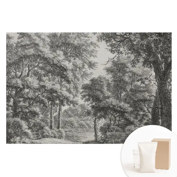 Fototapet pentru perete cu peisaj forestier clasic