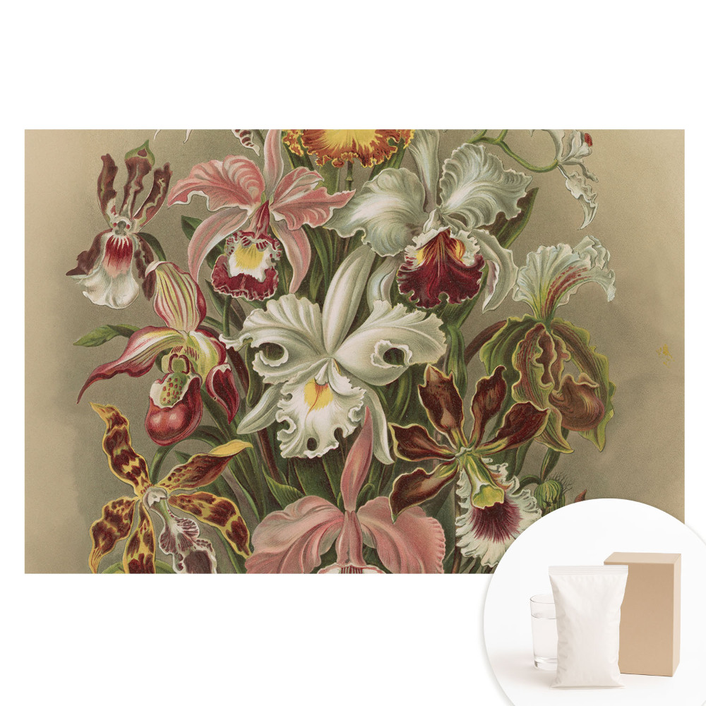 Tapet foto pe material nețesut Flori exotice, armonia naturii