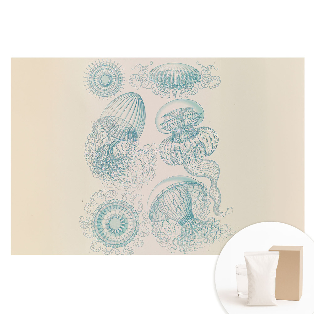 Tapet fotografic nețesut Desene subtile cu meduze marine