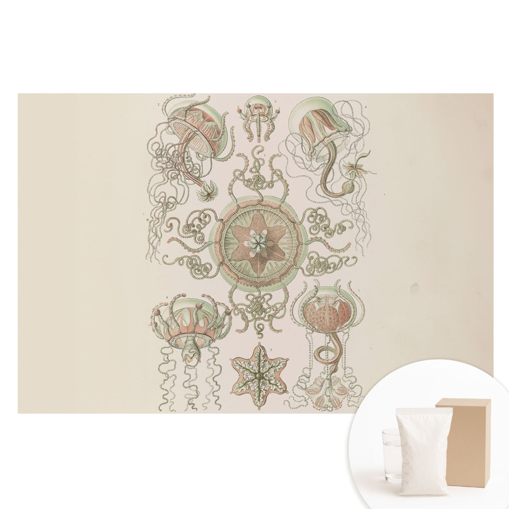 Fototapet cu imprimeu pe material nețesut Motiv simetric delicat cu meduze