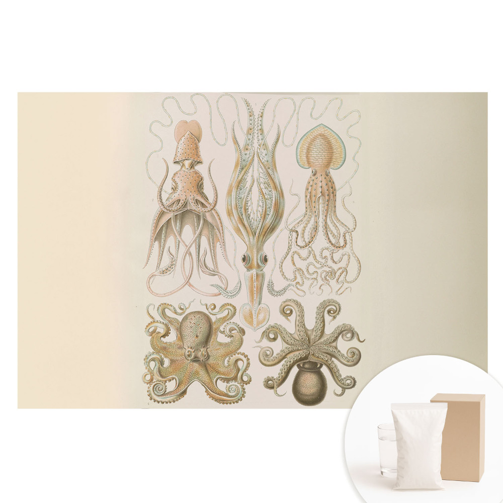 Tapet fotografic pe material nețesut Armonia detaliilor cefalopodelor marine