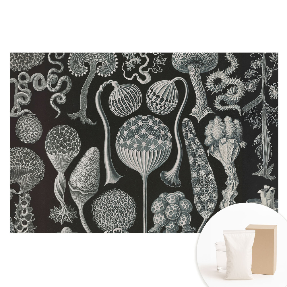 Tapet nețesut Forme organice fantastice în alb și negru