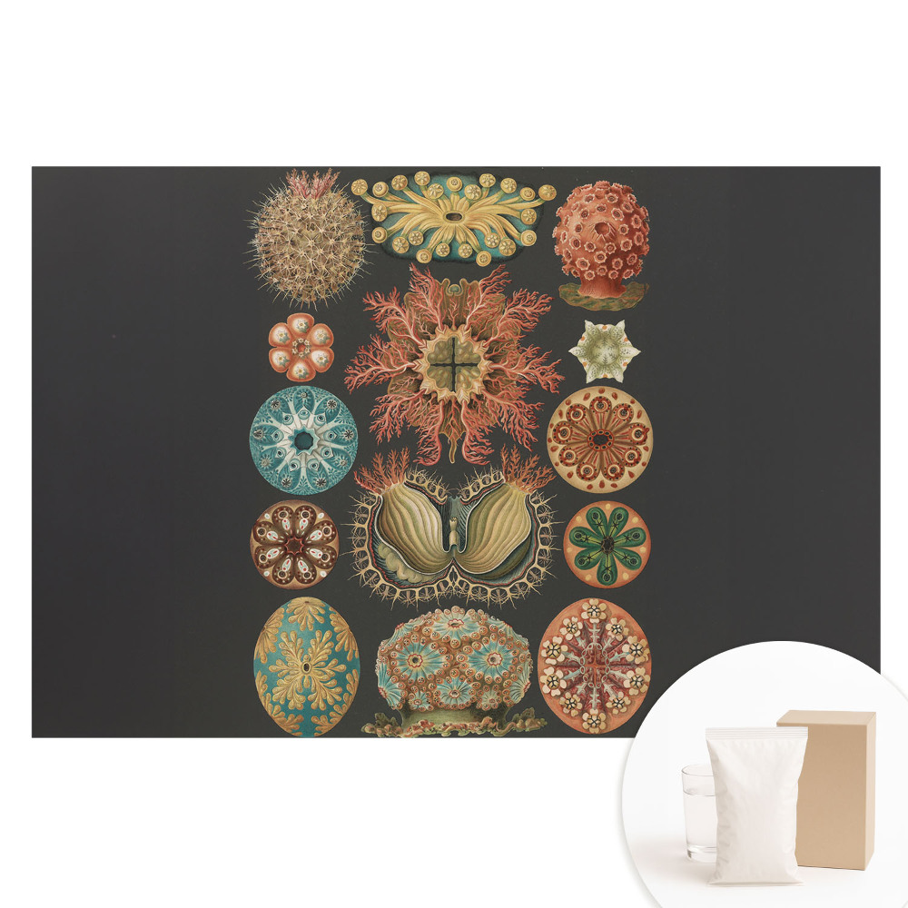 Tapet nețesut Forme marine abstracte într-un stil clasic