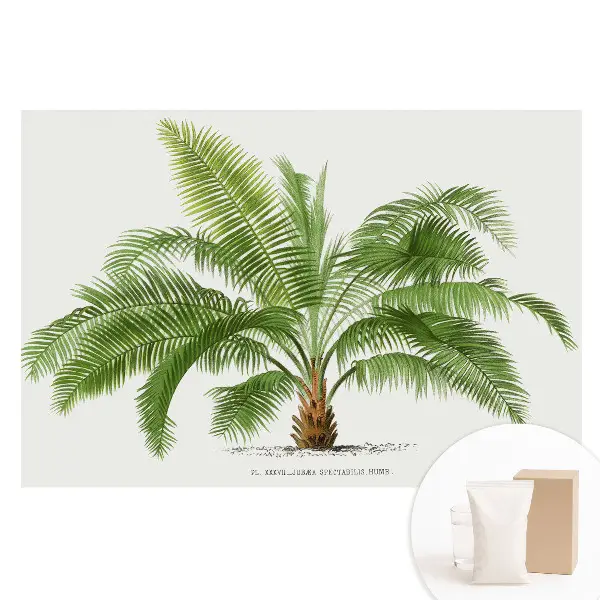 Fototapet mare cu ilustrație de palmier tropical perete
