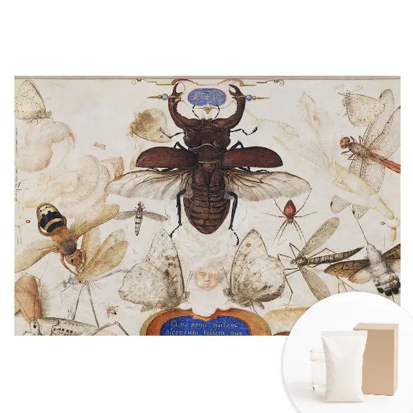 Tapet fotografic din material nețesut cu design de insecte, fluturi și păianjeni în stil simetrie clasică