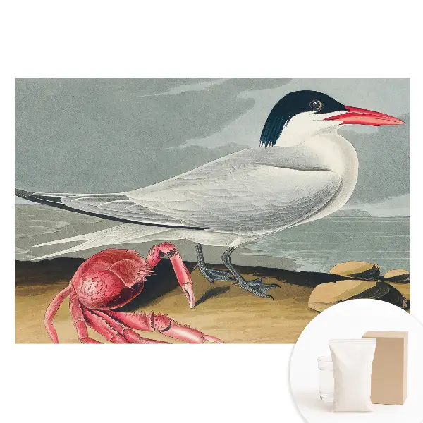 Tapet fotografic din material nețesut cu pasăre și crab