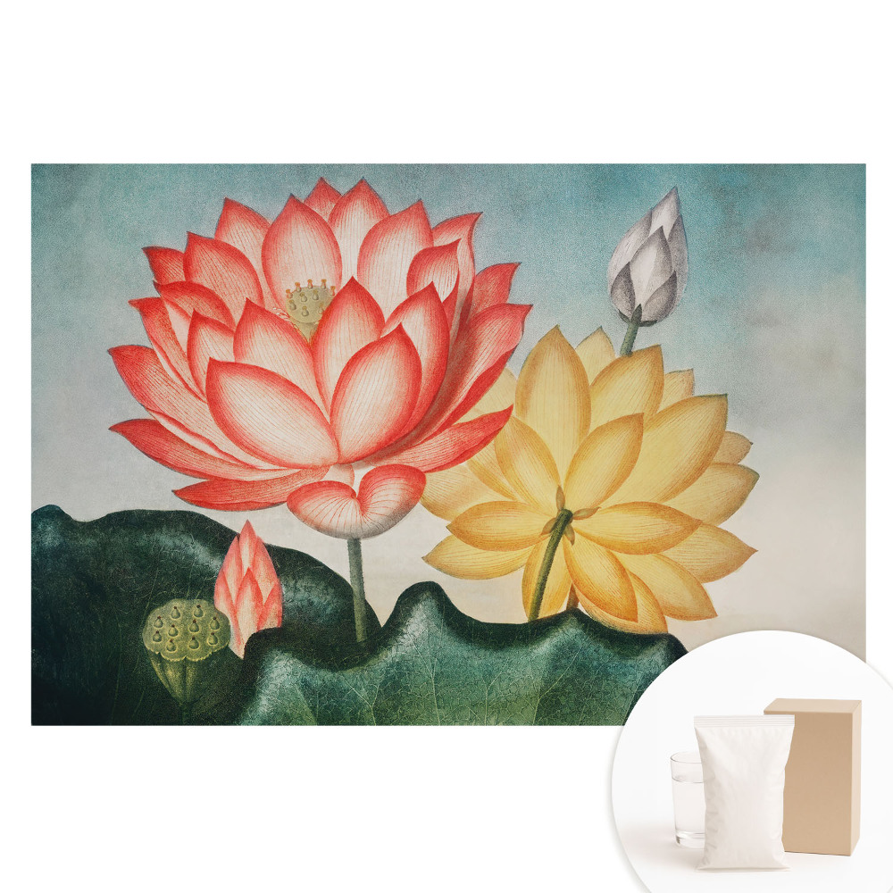 Tapet nețesut cu model floral de lotus în stil romantic