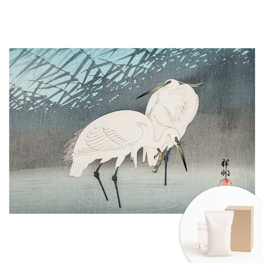 Fototapet cu imprimeu pe material nețesut Detaliu eleganță păsări tradiționale pace apă