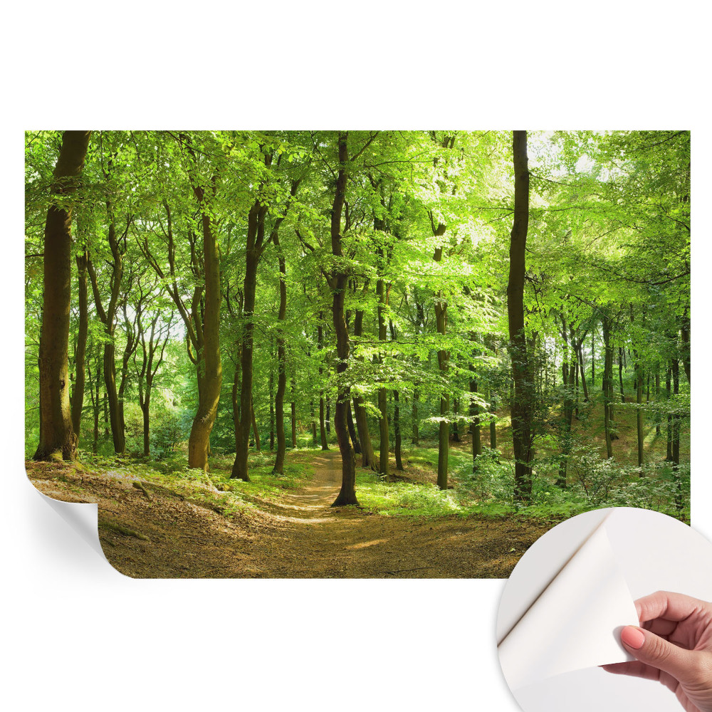 Fototapet autoadeziv pentru dormitor Calea naturală