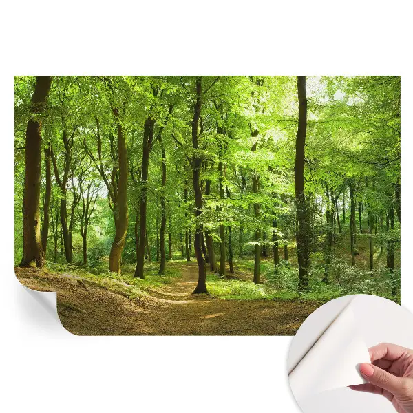Fototapet autoadeziv pentru dormitor Calea naturală