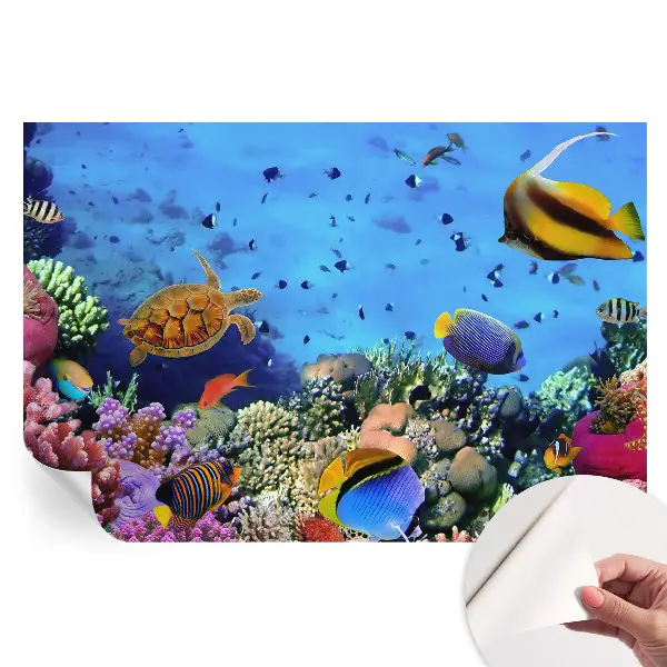 Fototapet modern cu recif de corali pentru sufragerie